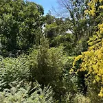 Lodge Forest House Eforie Nord