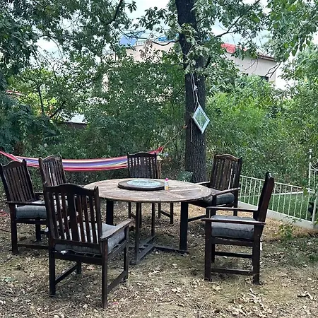 Forest House Деревянный коттедж *