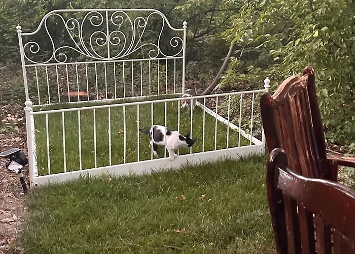 Forest House Деревянный коттедж *