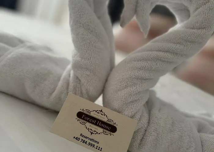 Forest House * Эфорие Норд