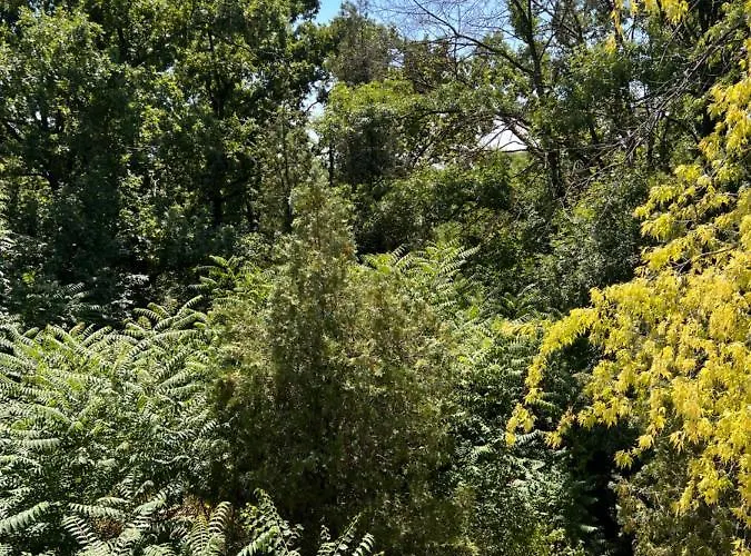 Hytte Forest House Eforie Nord